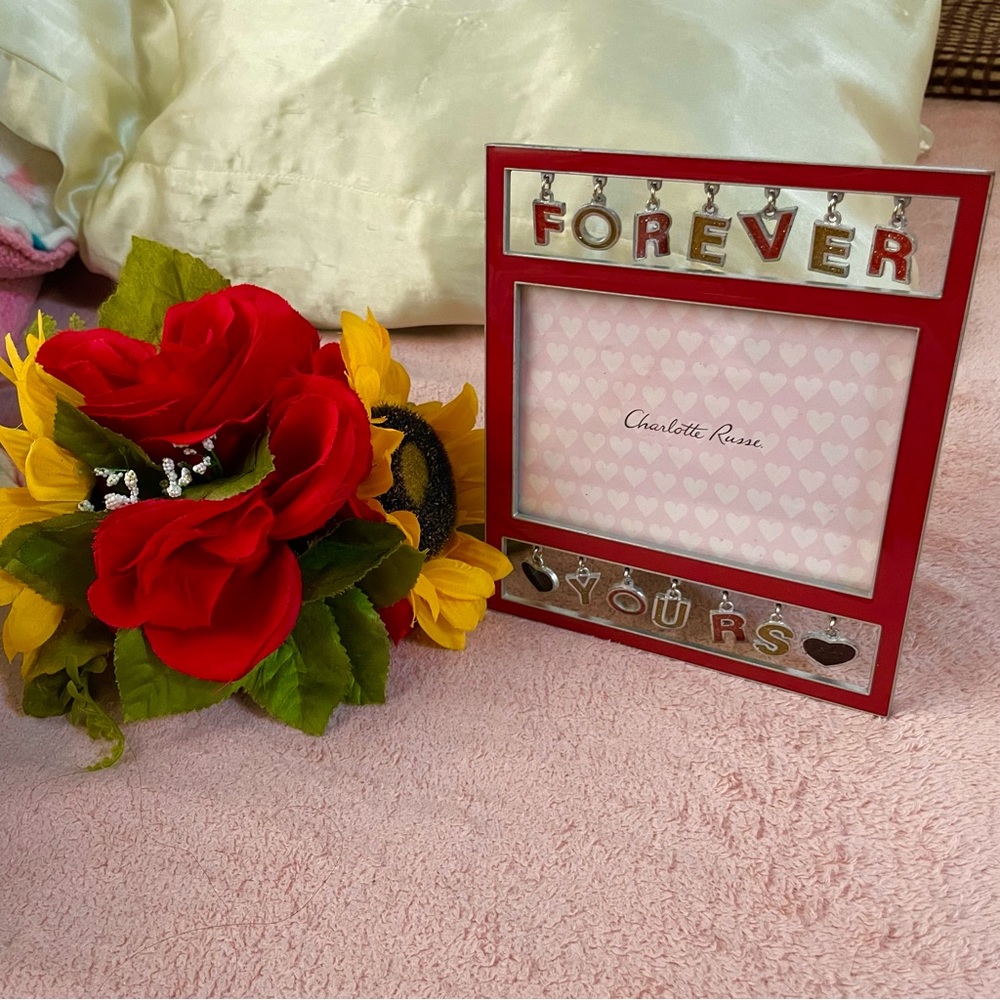 CHARLOTTE RUSSE Picture frame